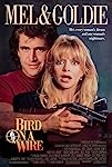 Bird on a Wire (1990)